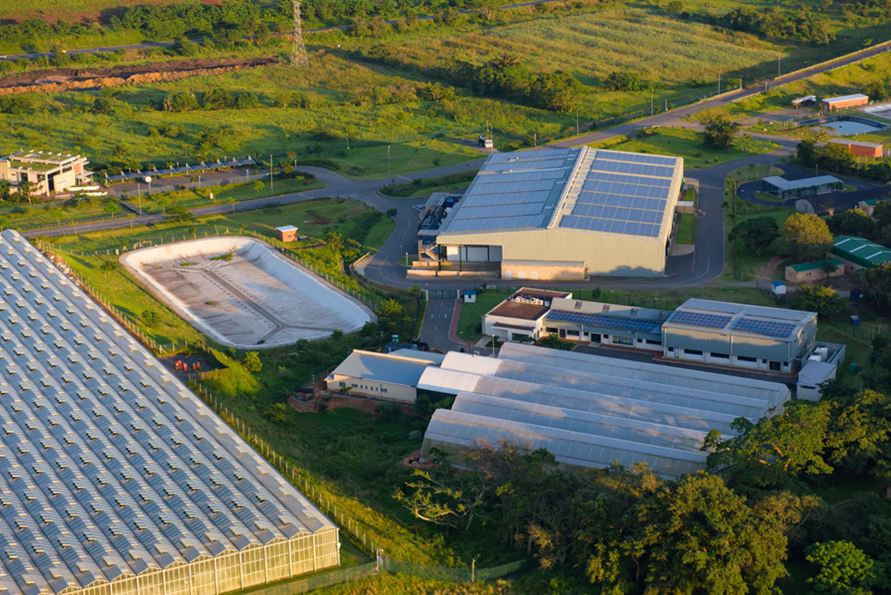 With Dube AgriHouse, a storage pond, a glass greenhouse, the packhouse and the nursery surrounding it.