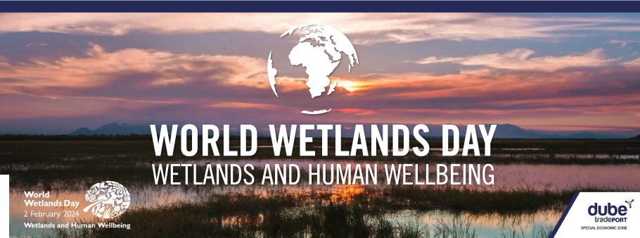 Let's Celebrate World Wetlands Day! 